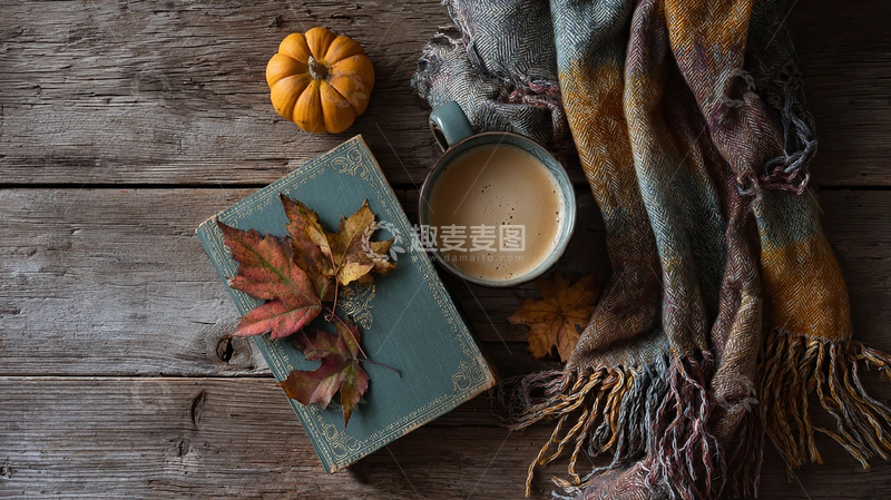 高清大图下载【趣麦麦图】落叶与暖阳交织的静谧瞬间