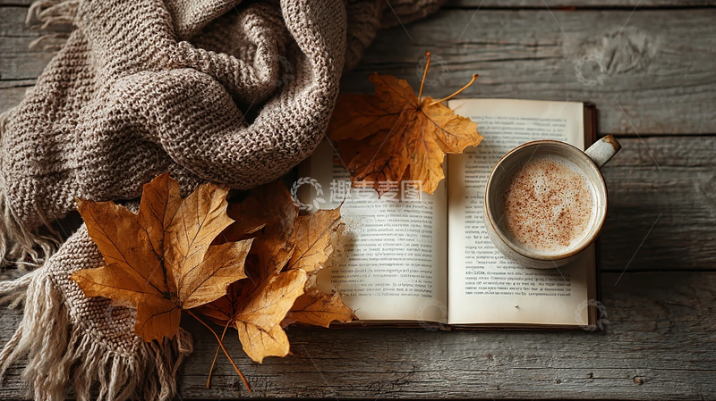 高清大图下载【趣麦麦图】枫叶飘落的诗意画卷