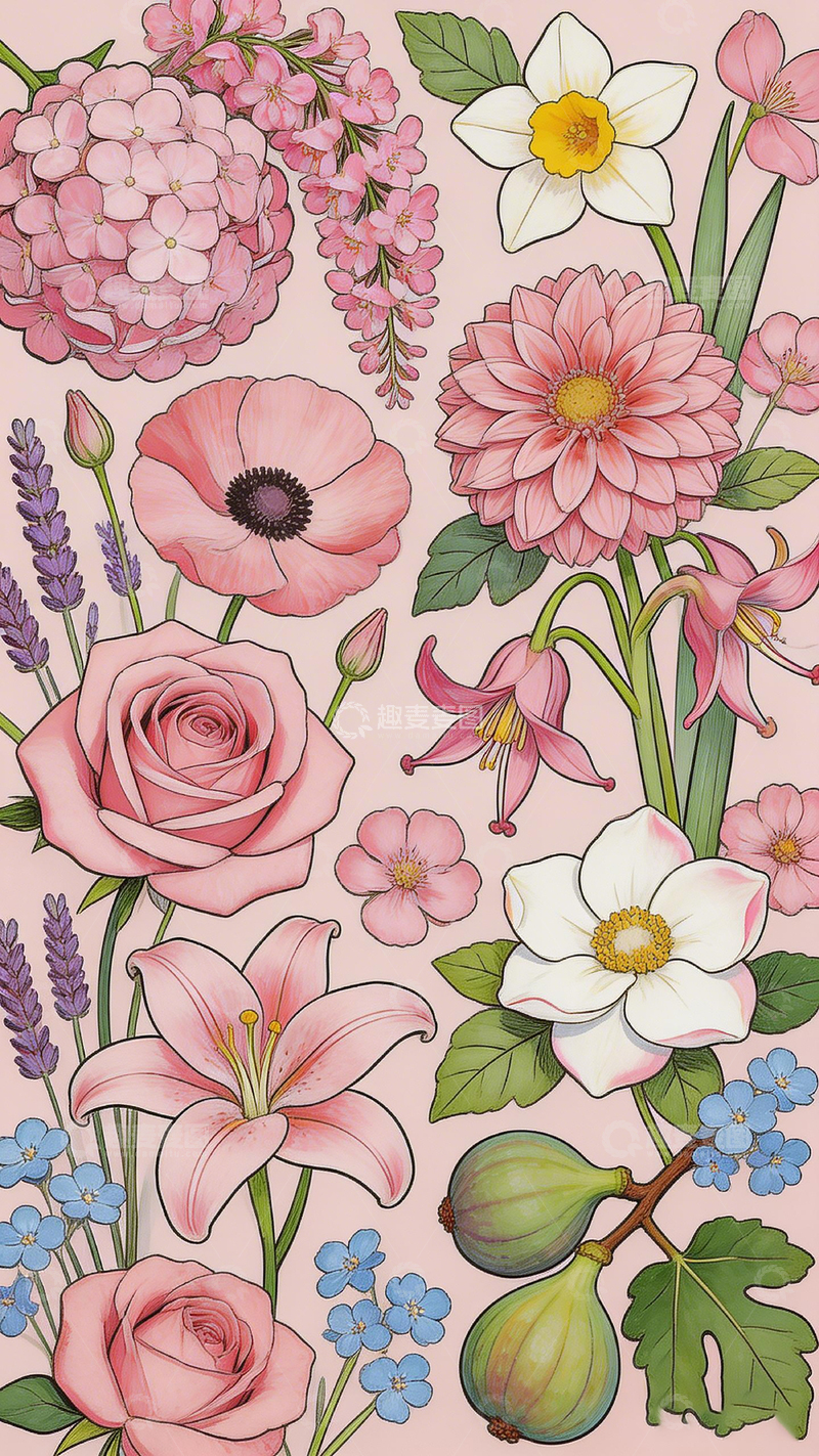 高清大图下载【趣麦麦图】粉色花卉插画设计素材