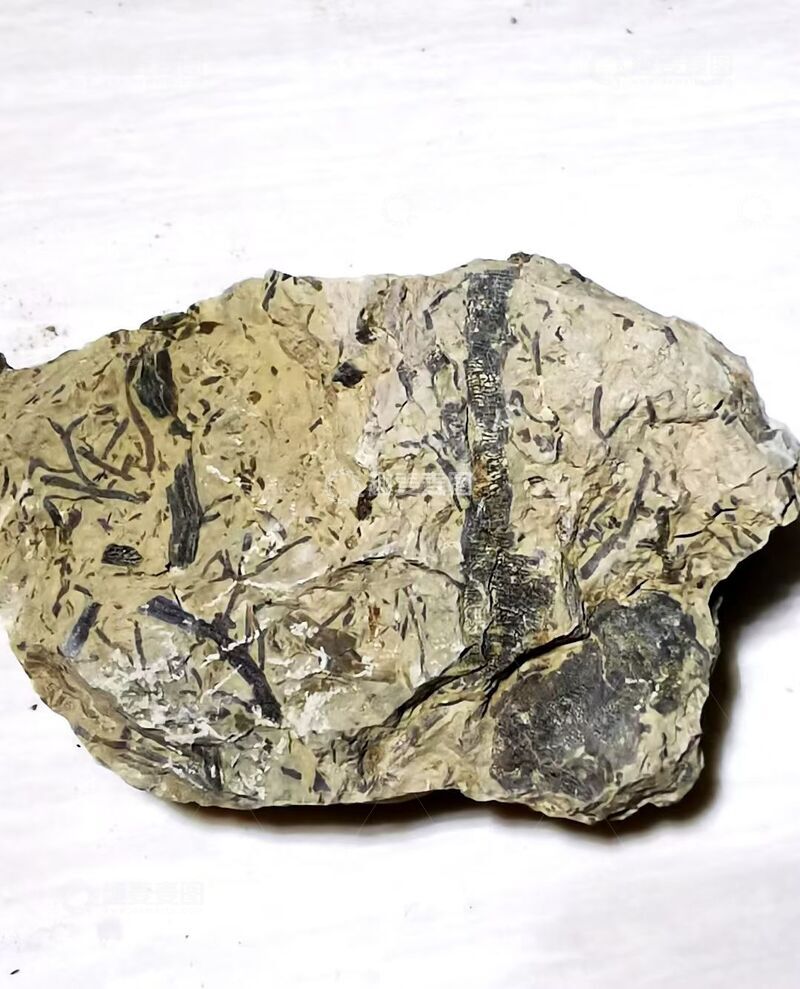 高清大图下载【趣麦麦图】岩石纹理特写摄影素材