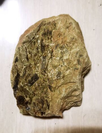 古化石岩层特写