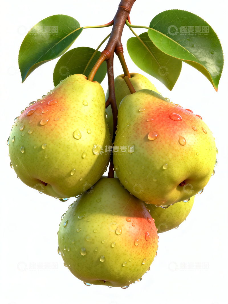 高清大图下载【趣麦麦图】香梨写实摄影15