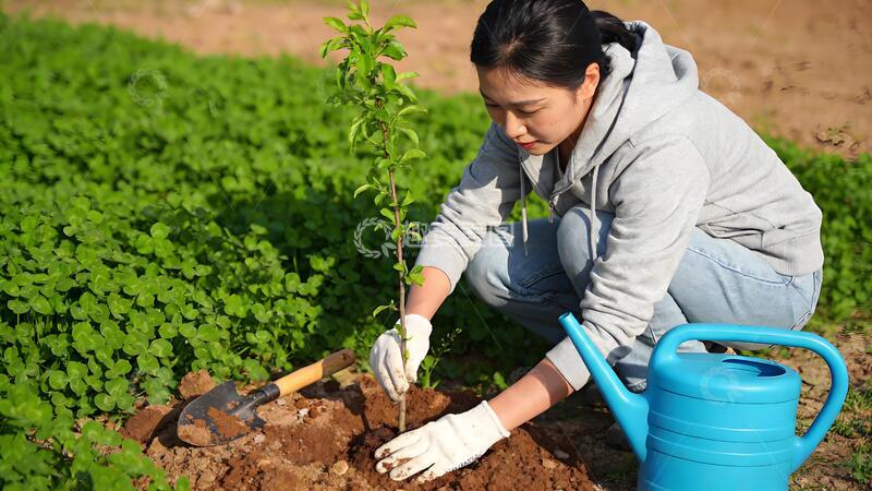 高清大图下载【趣麦麦图】户外园艺种植场景女性浇水树苗栽种