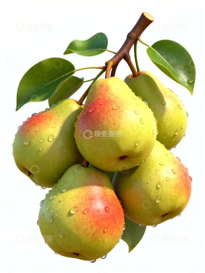 高清大图下载【趣麦麦图】香梨写实摄影17