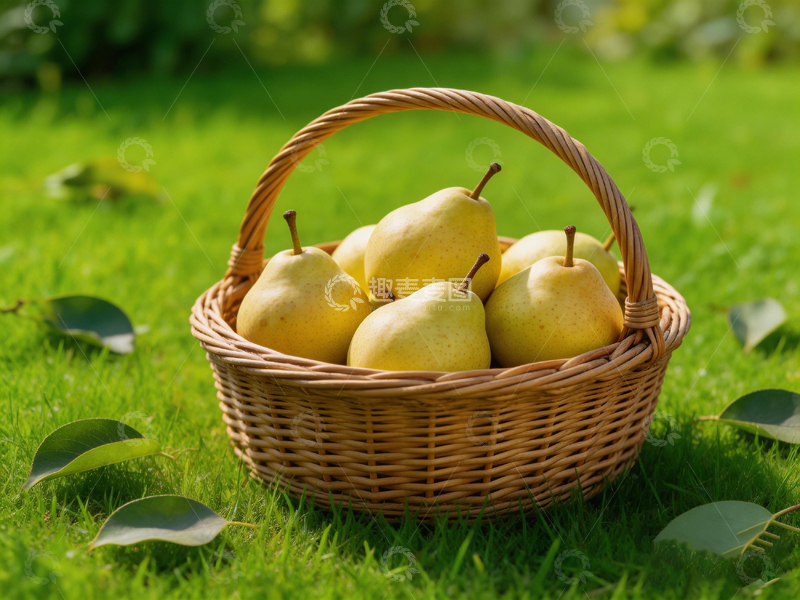 高清大图下载【趣麦麦图】田园风篮子梨子静物摄影