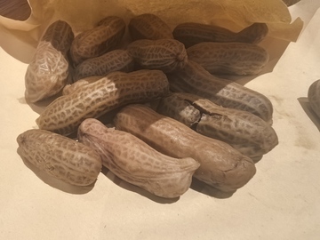 花生堆叠静物摄影