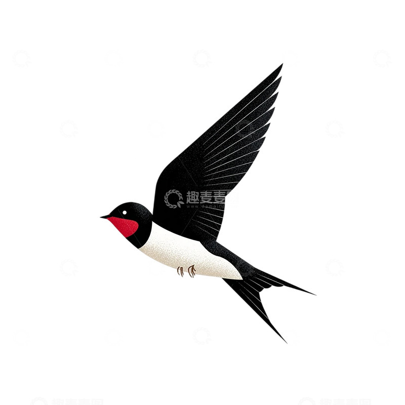 高清大图下载【趣麦麦图】黑白极光中的奇幻燕子飞舞