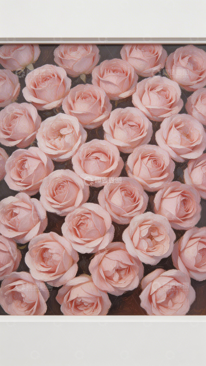 高清大图下载【趣麦麦图】粉色玫瑰特写摄影