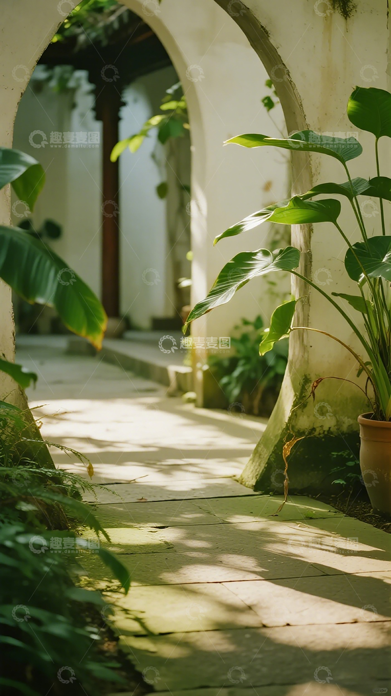 高清大图下载【趣麦麦图】庭院绿意光影走廊