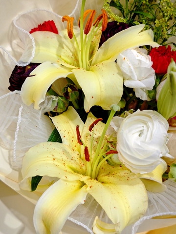 黄色百合花 百合花束 花束