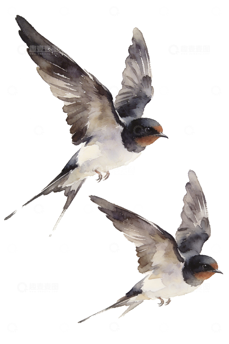 源文件下载【趣麦麦图】水彩画风格燕子1