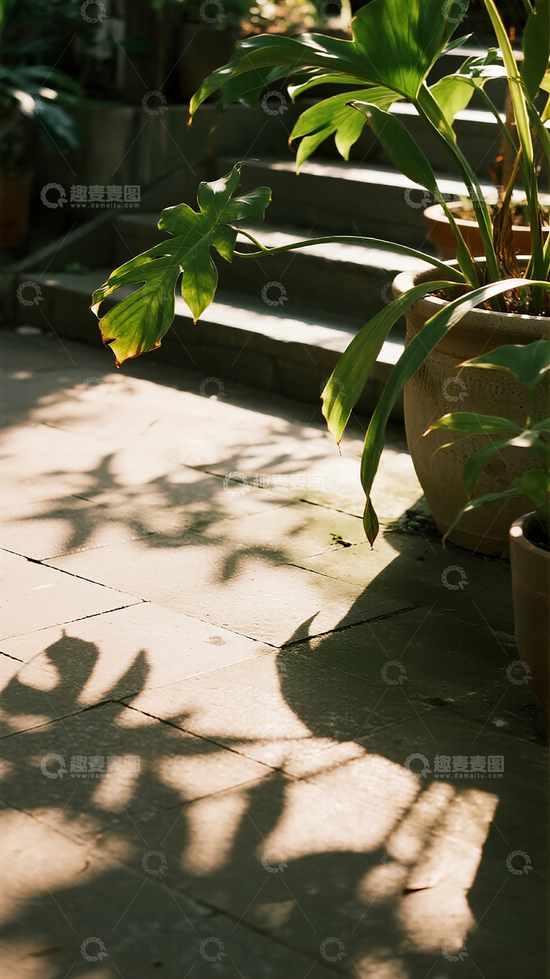 高清大图下载【趣麦麦图】阳光绿植影步道