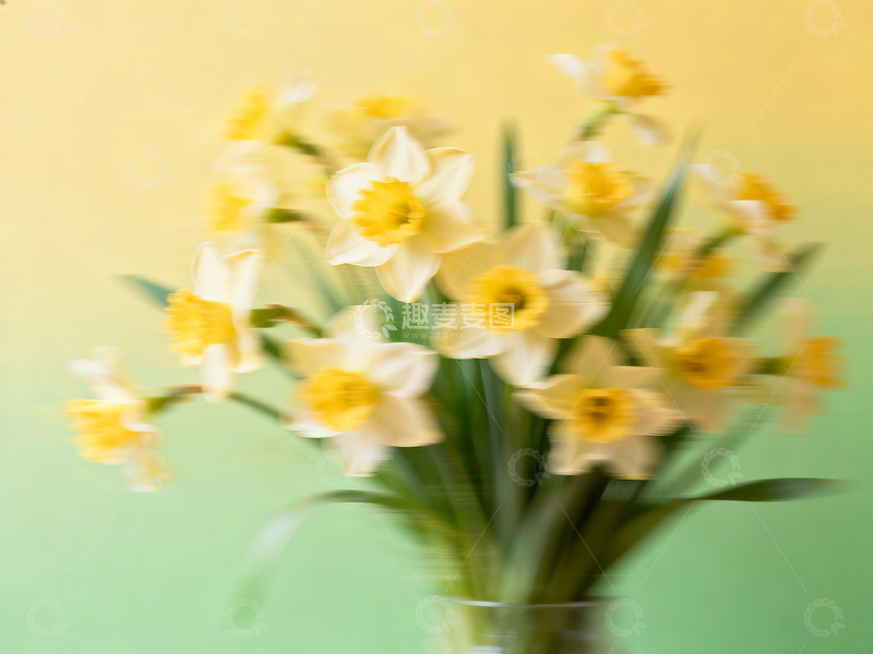 高清大图下载【趣麦麦图】春日氛围感高级艺术背景2