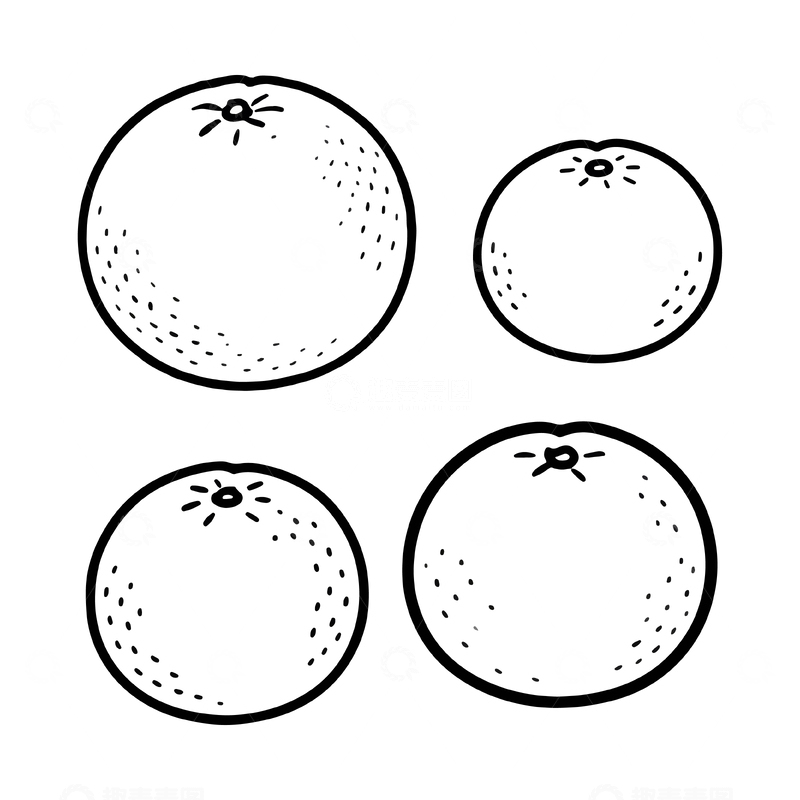 源文件下载【趣麦麦图】简约线条橙子插图素材