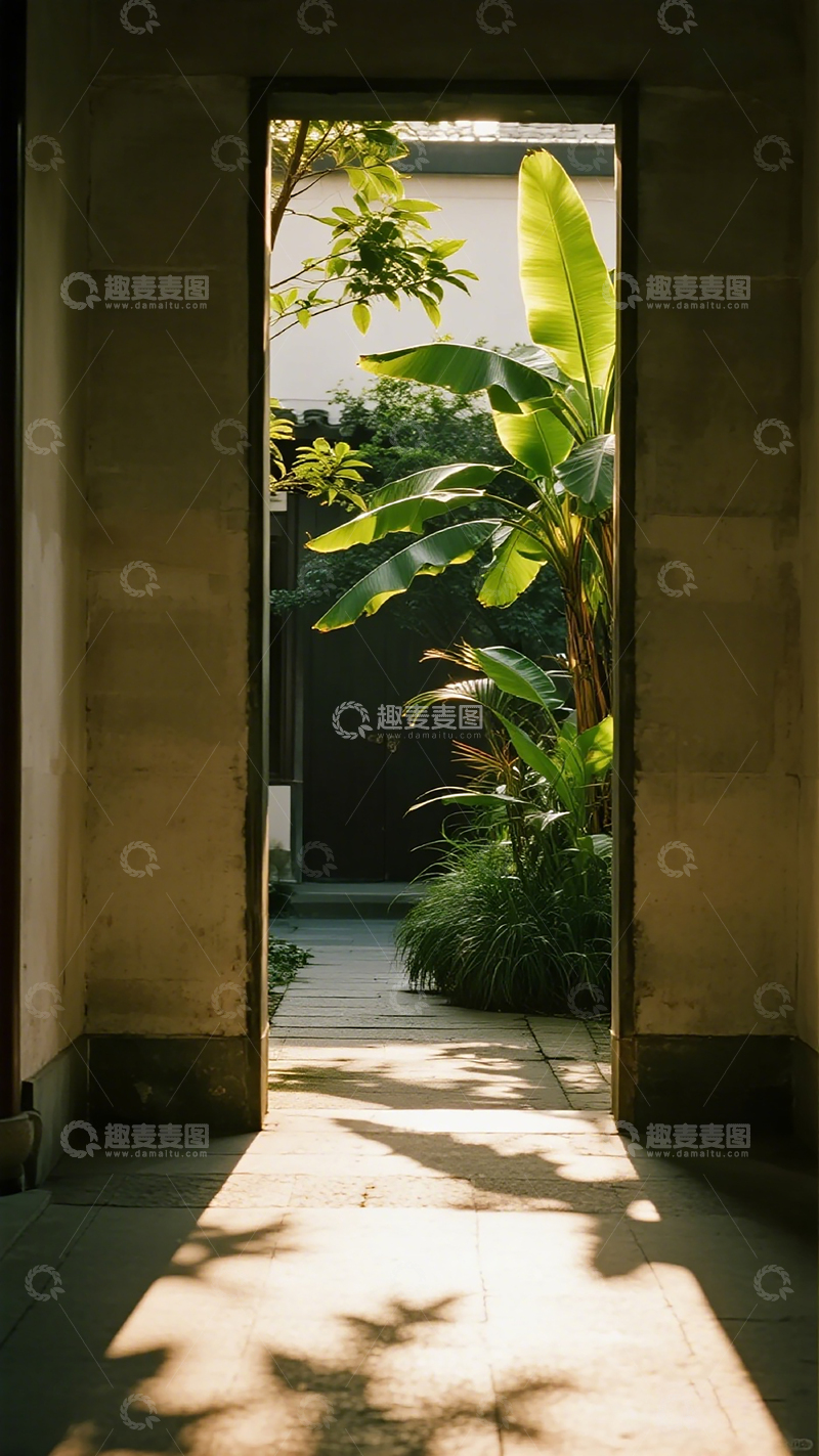 高清大图下载【趣麦麦图】光影庭院绿意盎然
