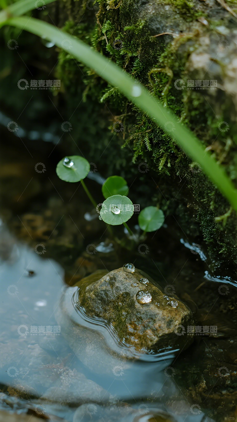 高清大图下载【趣麦麦图】清新自然溪流生态美景