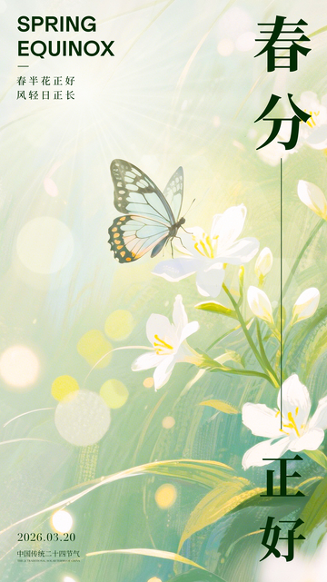 春分花卉蝴蝶插画设计