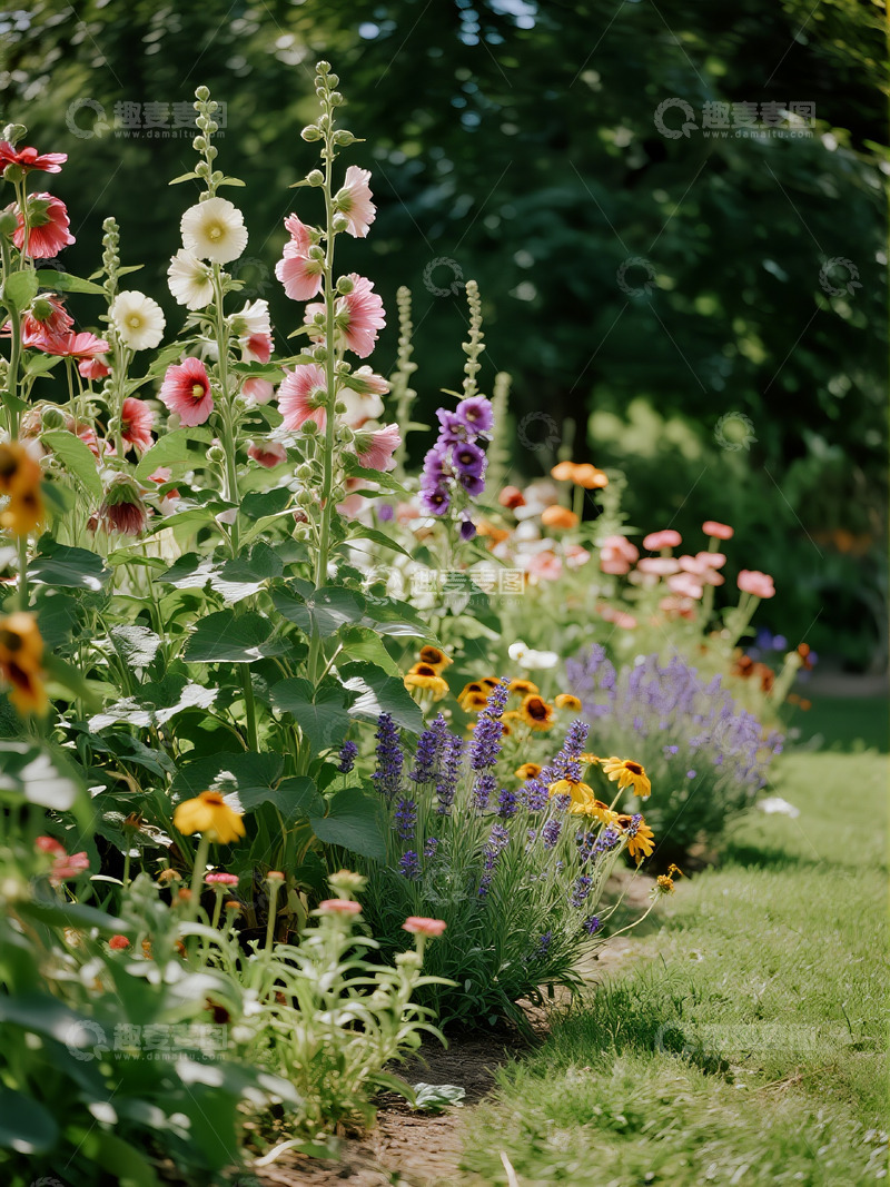 高清大图下载【趣麦麦图】路边花草温馨场景4