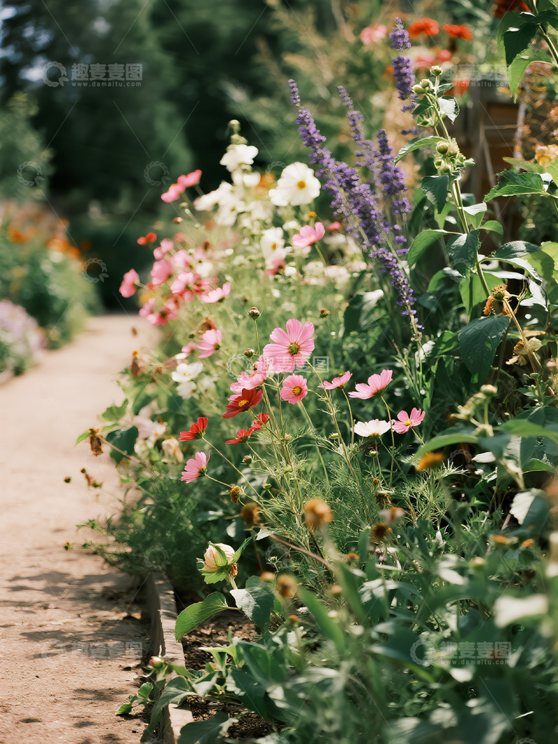 高清大图下载【趣麦麦图】路边花草温馨场景5