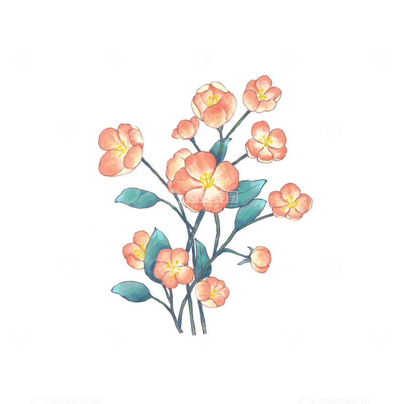 源文件下载【趣麦麦图】水彩花卉插画手绘