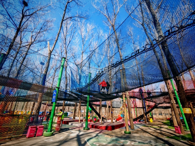 高清大图下载【趣麦麦图】森林乐园攀爬设施