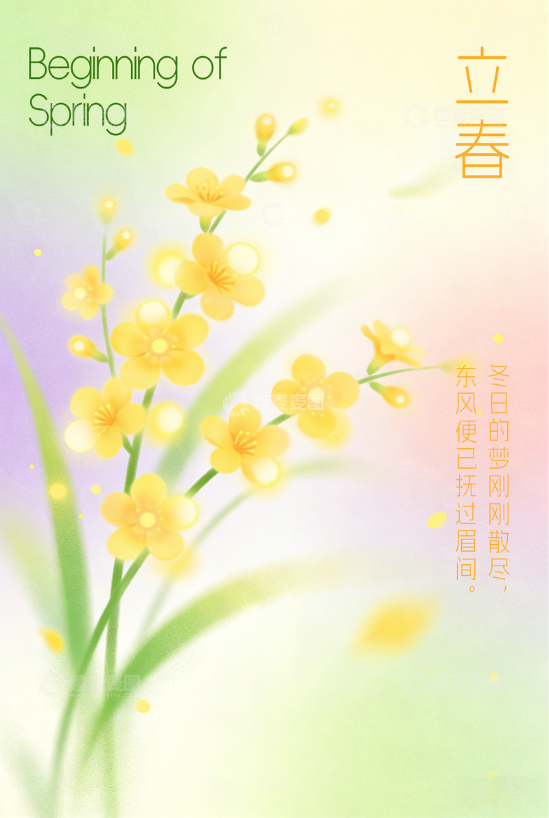 源文件下载【趣麦麦图】立春迎春花插画