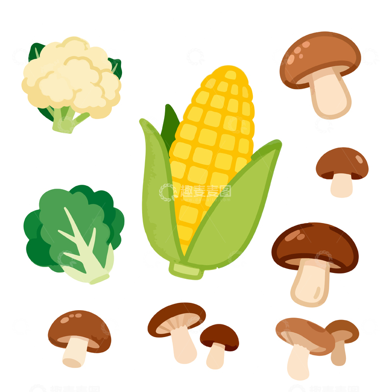 源文件下载【趣麦麦图】卡通蔬菜蘑菇插画合集