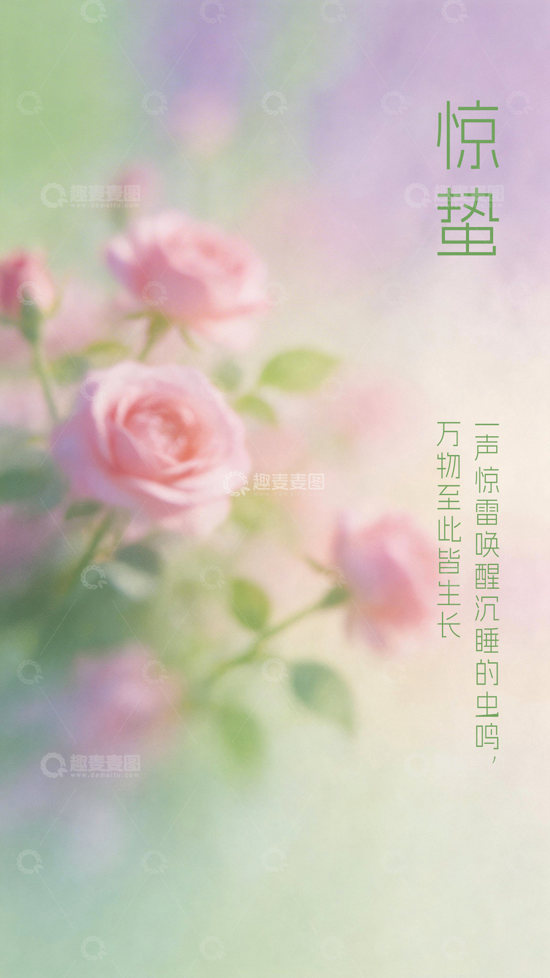 源文件下载【趣麦麦图】惊蛰玫瑰诗意海报