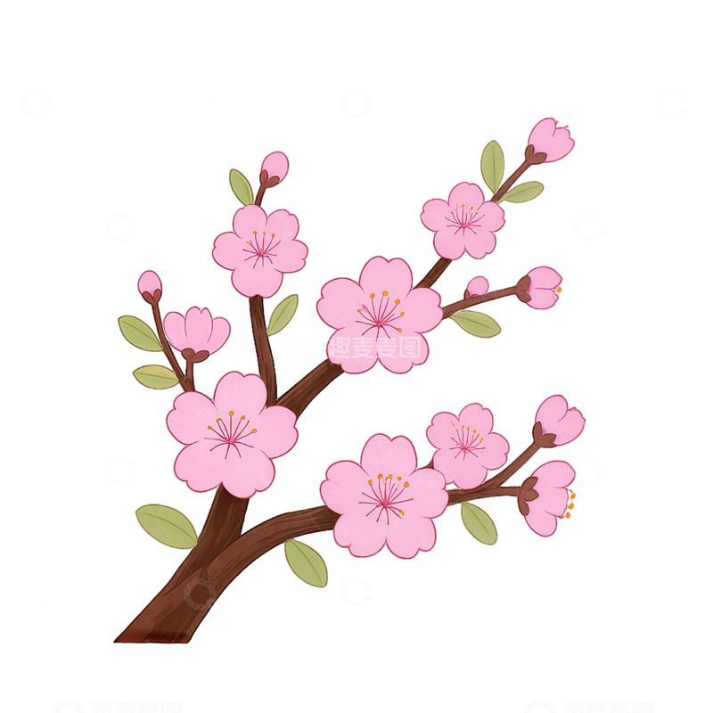 高清大图下载【趣麦麦图】樱花插画素材