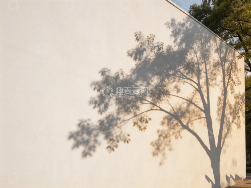 高清大图下载【趣麦麦图】光影树影墙面艺术摄影