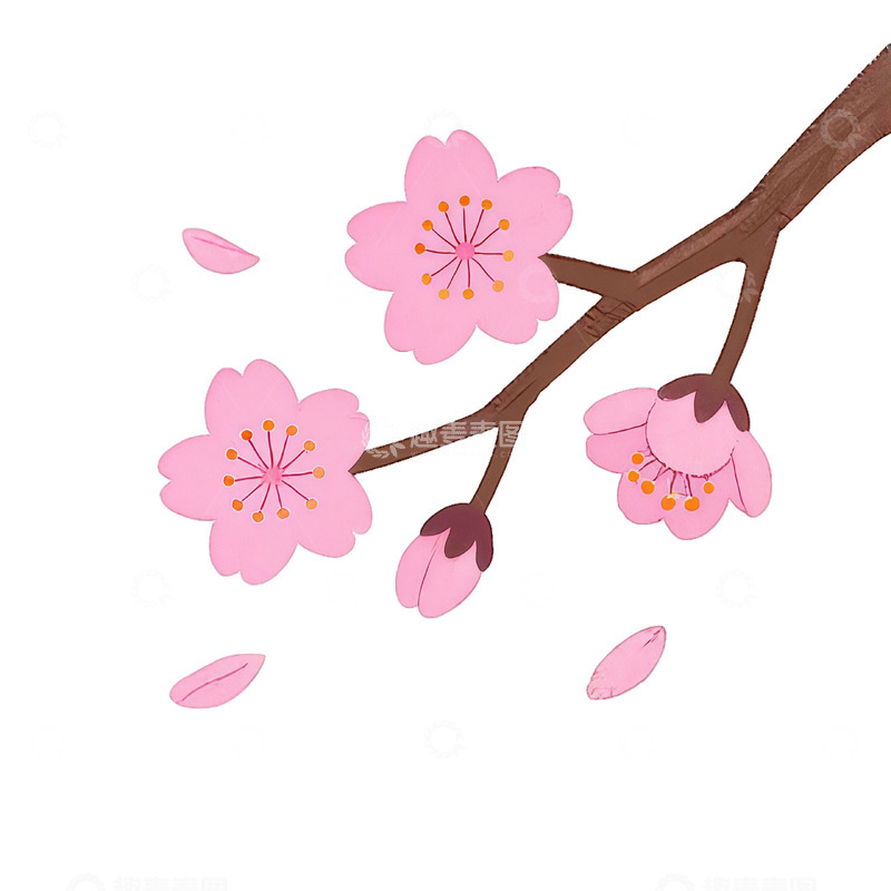 高清大图下载【趣麦麦图】樱花插画春天浪漫素材