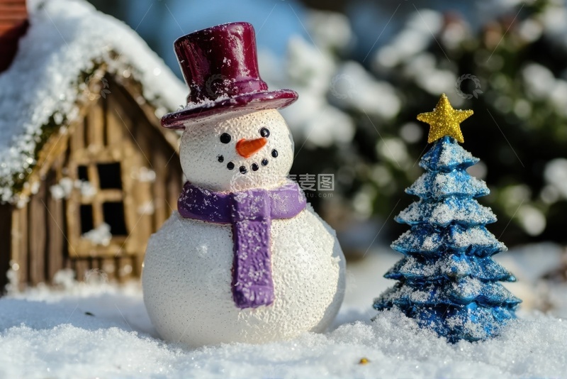 高清大图下载【趣麦麦图】小雪人微观景象摄影