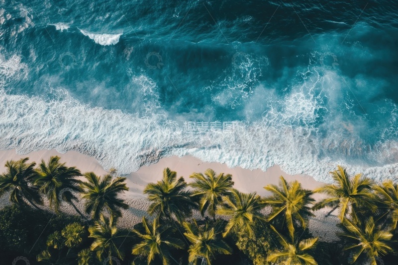 高清大图下载【趣麦麦图】大海海岸椰子树