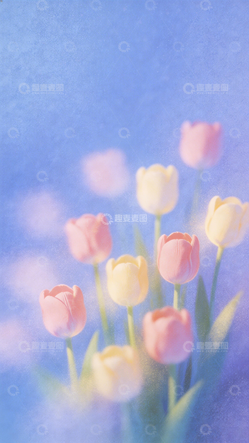 高清大图下载【趣麦麦图】梦幻郁金香壁纸