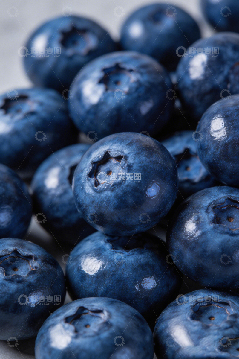 高清大图下载【趣麦麦图】新鲜蓝莓特写摄影5