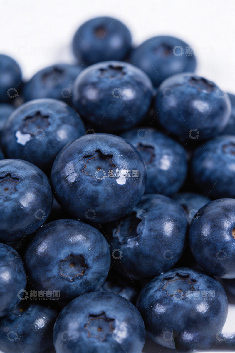 高清大图下载【趣麦麦图】新鲜蓝莓特写摄影图片6