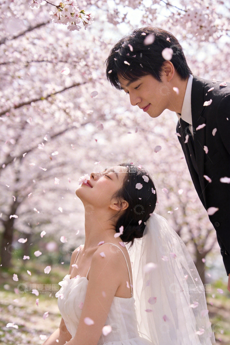 高清大图下载【趣麦麦图】樱花浪漫婚纱照自然风光摄影
