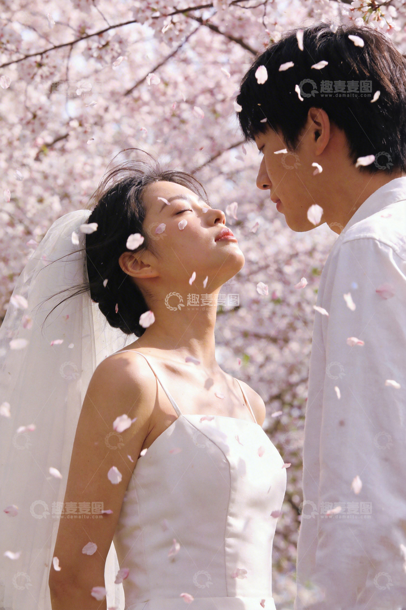 高清大图下载【趣麦麦图】樱花下情侣浪漫婚纱照