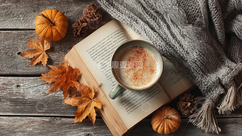 高清大图下载【趣麦麦图】落叶伴书的温馨瞬间