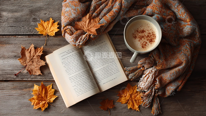 高清大图下载【趣麦麦图】秋日静谧时光中的温暖书香
