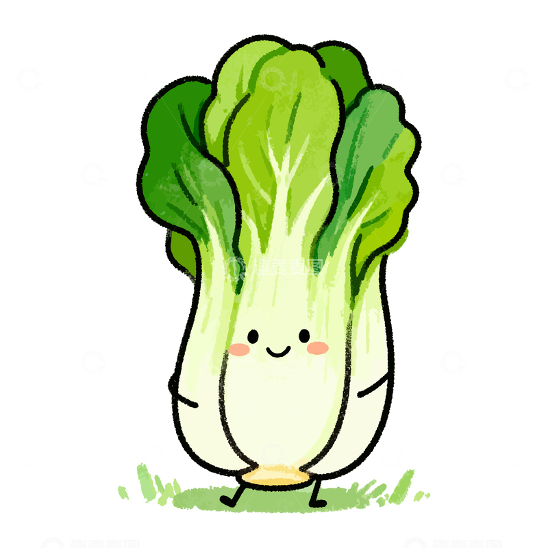 源文件下载【趣麦麦图】可爱卡通青菜手绘插画