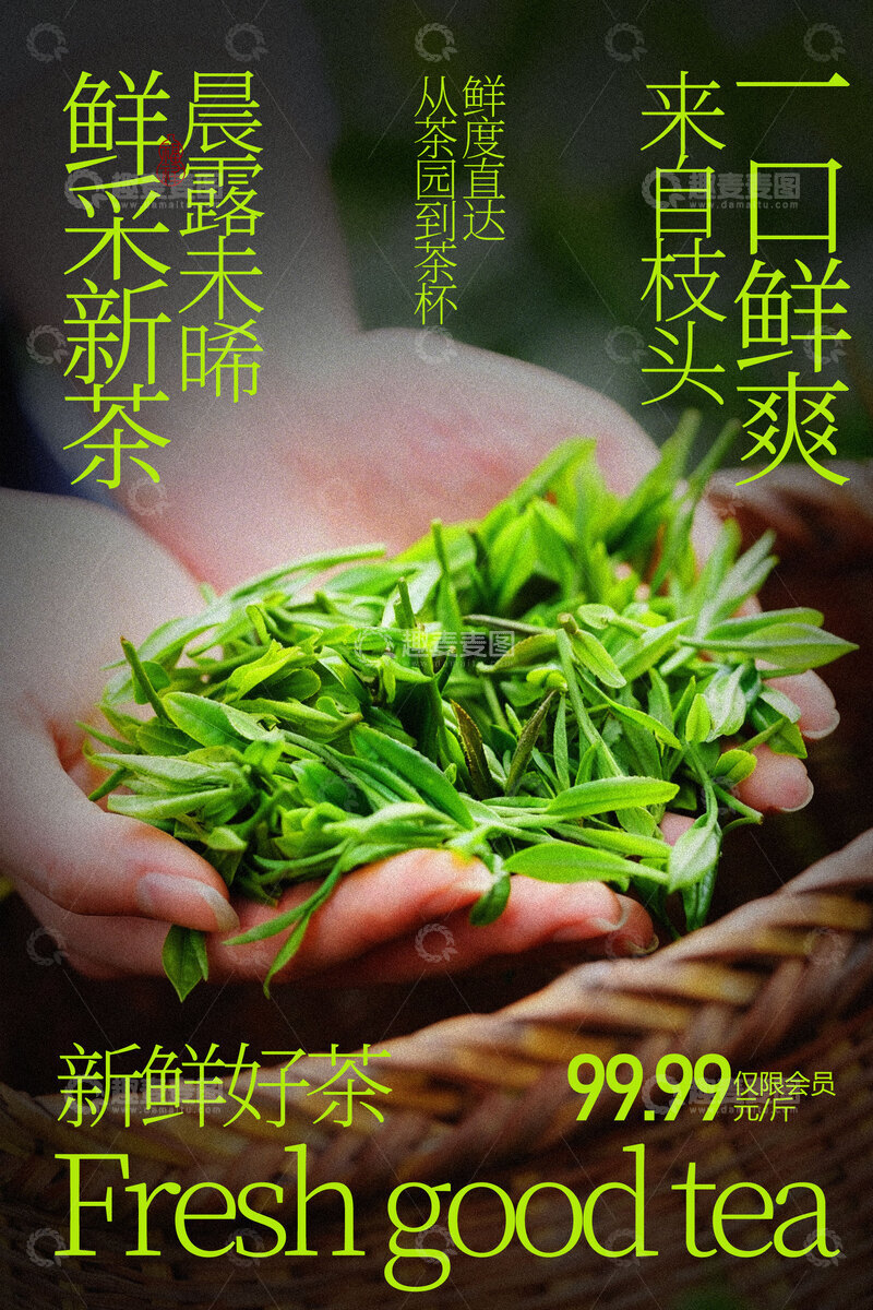 源文件下载【趣麦麦图】鲜嫩茶叶鲜纯好茶海报