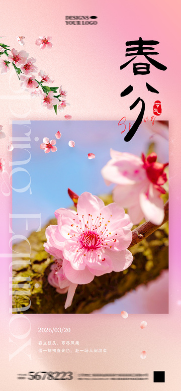 春分节气海报7