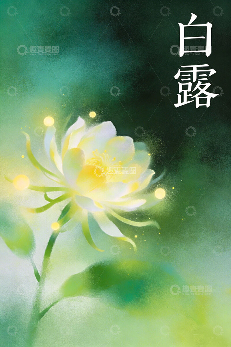 高清大图下载【趣麦麦图】水墨风白玫瑰诗意装饰画