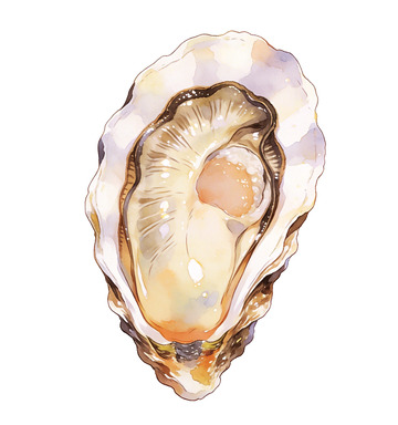 水彩生蚝海鲜美食插画素材