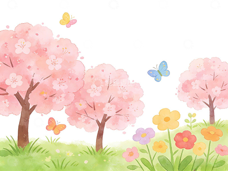 高清大图下载【趣麦麦图】水彩风樱花盛开春日插画