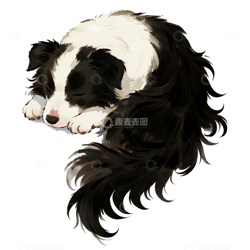 源文件下载【趣麦麦图】水彩风格一只睡觉的边牧2