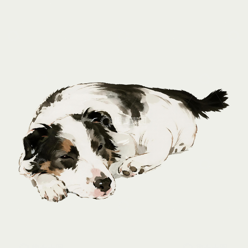 源文件下载【趣麦麦图】水彩风格一只睡觉的边牧7