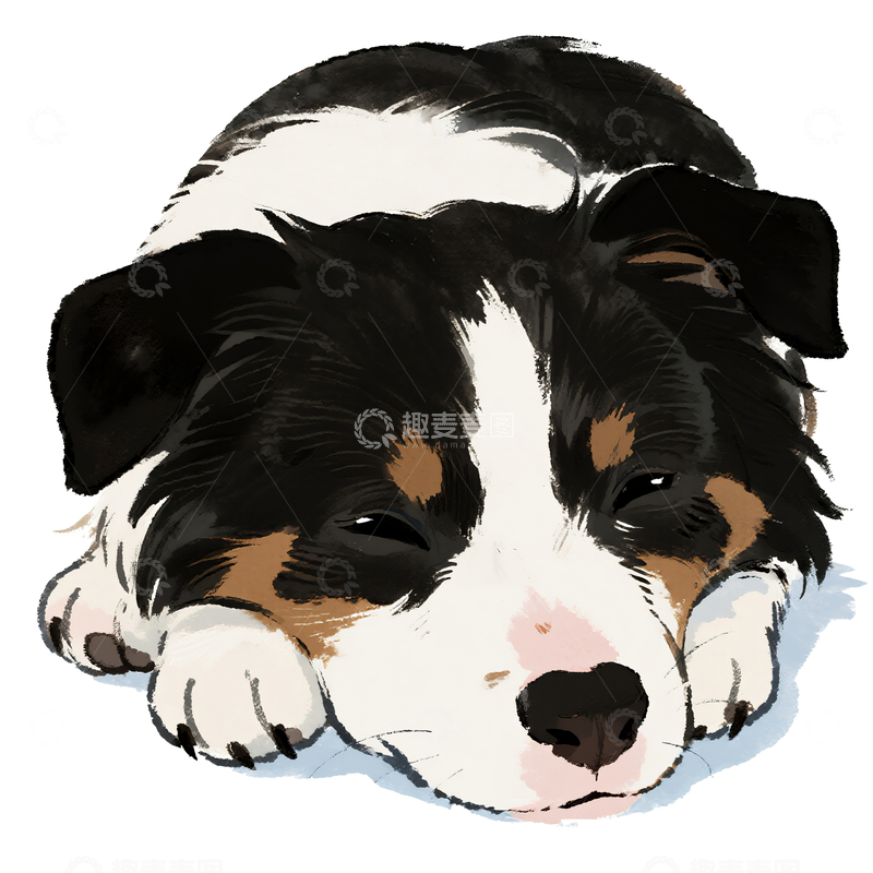 源文件下载【趣麦麦图】水彩风格一只睡觉的边牧1