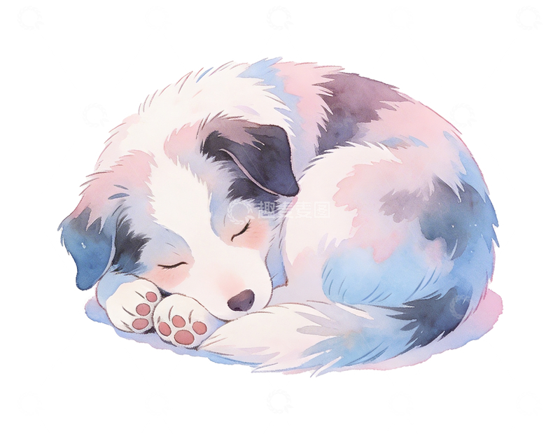 源文件下载【趣麦麦图】水彩风格一只睡觉的边牧4